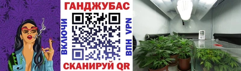 Марихуана конопля Белая Холуница